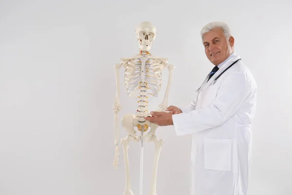 Senior Orthopäde Mit Menschlichem Skelettmodell Vor Hellem Hintergrund — Stockfoto