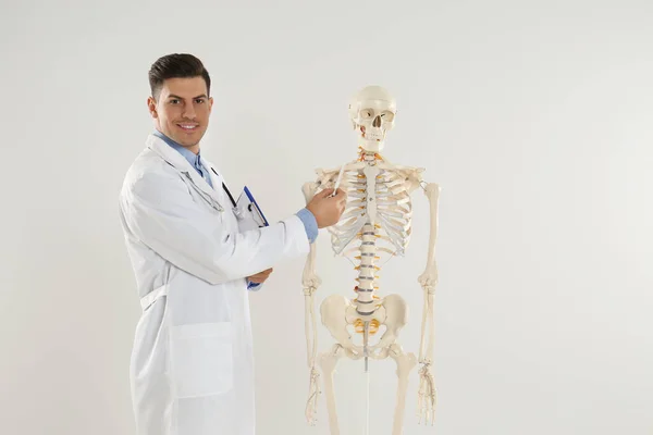 Işık Arkaplanına Karşı Insan Iskeleti Modeli Olan Erkek Ortopedist — Stok fotoğraf