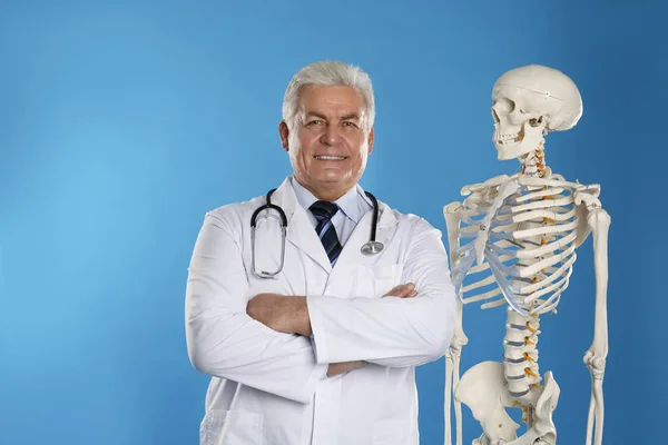 Senior Orthopedist Human Skeleton Model Blue Background — Stockfoto