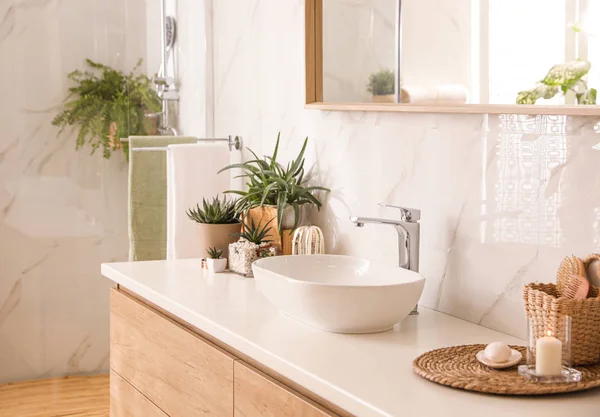 Elegante Bagno Interno Con Piano Lavoro Specchio Piante Appartamento Idea — Foto Stock