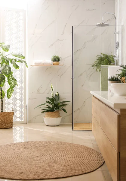 Stylish Bathroom Interior Countertop Shower Stall Houseplants Design Idea — ストック写真