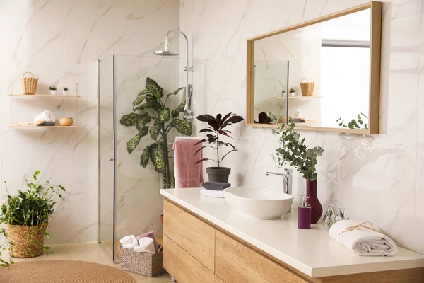 Stylish Bathroom Interior Countertop Shower Stall Houseplants Design Idea — Stock Photo, Image