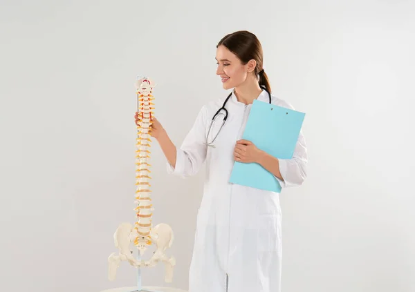 Female Orthopedist Human Spine Model Light Background — Stockfoto