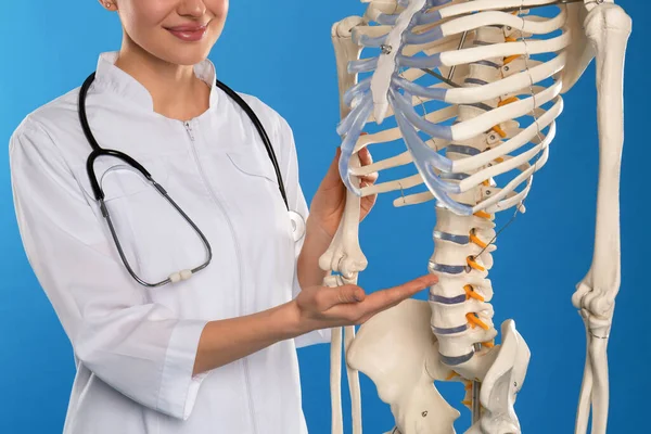 Orthopädin Mit Menschlichem Skelettmodell Auf Blauem Hintergrund Nahaufnahme — Stockfoto