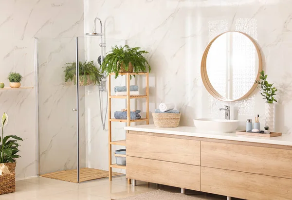 Elegante Baño Interior Con Encimera Ducha Plantas Interior Idea Diseño —  Fotos de Stock