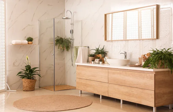 Élégant Intérieur Salle Bain Avec Comptoir Cabine Douche Plantes Intérieur — Photo