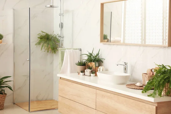 Stylish Bathroom Interior Countertop Shower Stall Houseplants Design Idea — 스톡 사진