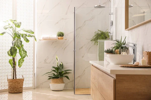 Stylish Bathroom Interior Countertop Shower Stall Houseplants Design Idea — ストック写真