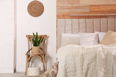 Modern oda içinde yastıkları olan rahat bir yatak.