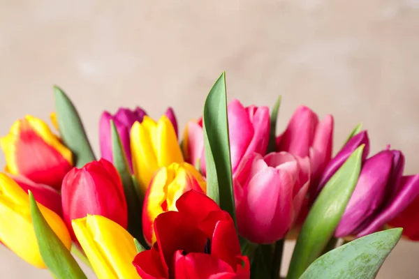 Hermosos Tulipanes Primavera Sobre Fondo Claro Primer Plano — Foto de Stock