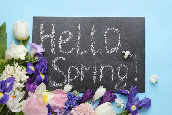 가사가 Hello Spring 배경에 — 스톡 사진