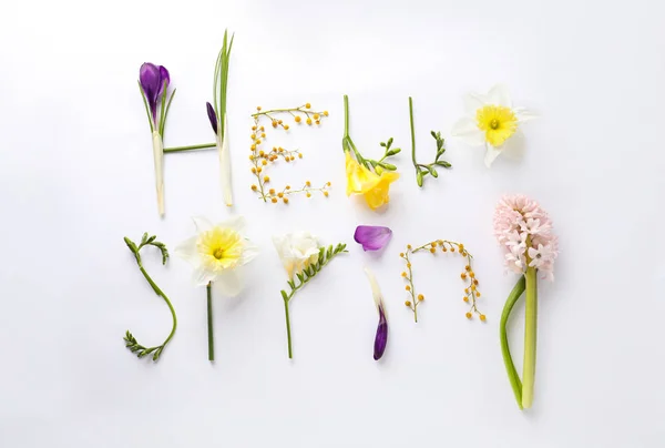 Hello Spring Made Fresh Flowers White Background Flat Lay — стоковое фото