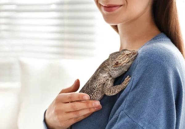 Young Woman Bearded Lizard Home Closeup Exotic Pet — 스톡 사진