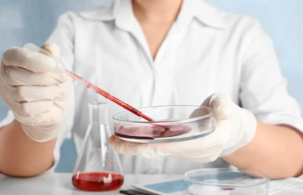Vědec Odebírá Vzorek Krve Petriho Misky Pipetou Laboratoři Detailní Záběr — Stock fotografie