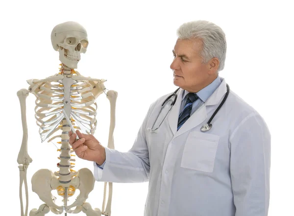 Senior Orthopeed Met Menselijk Skelet Model Witte Achtergrond — Stockfoto