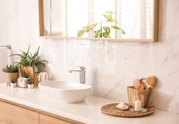 Elegante Bagno Interno Con Piano Lavoro Specchio Piante Appartamento Idea — Foto Stock