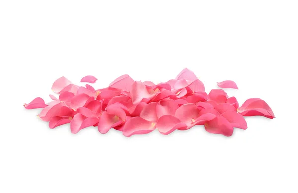 Купка Свіжих Рожевих Пелюсток Троянд Білому Тлі — стокове фото