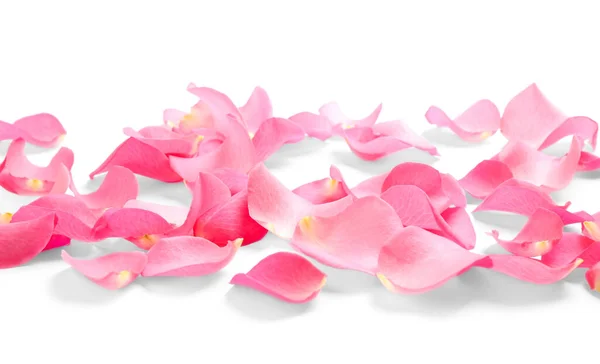 白い背景に新鮮なピンクのバラの花びら — ストック写真