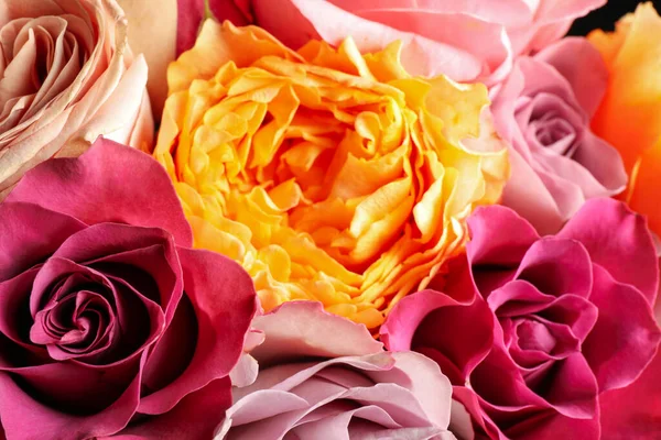 Lindas Rosas Frescas Como Fundo Vista Perto Decoração Floral — Fotografia de Stock