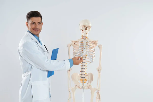 Férfi Ortopéd Orvos Emberi Csontváz Modell Fényviszonyok Között — Stock Fotó