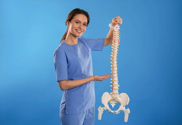 Vrouwelijke Orthopeed Met Menselijk Ruggengraat Model Tegen Blauwe Achtergrond — Stockfoto