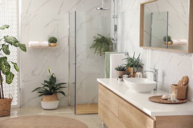 Stylish bathroom interior with countertop, shower stall and houseplants. Design idea