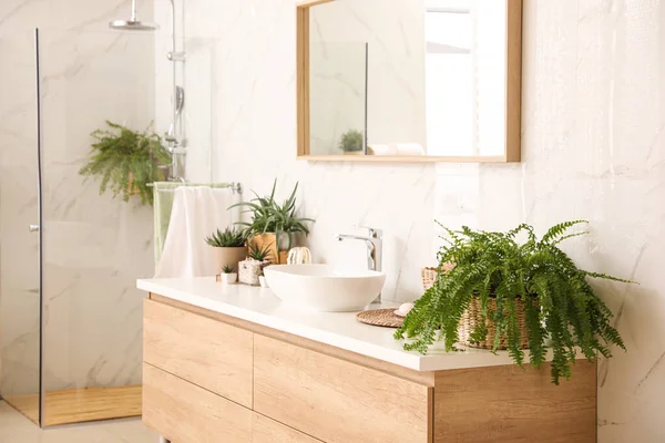 Stylish Bathroom Interior Countertop Shower Stall Houseplants Design Idea — Stock Photo, Image