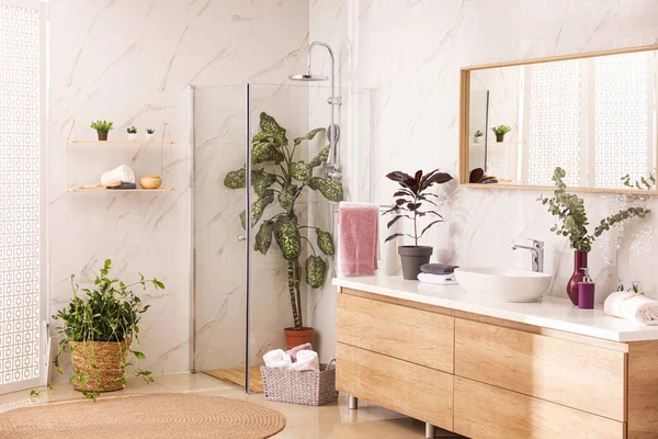Elegante Baño Interior Con Encimera Ducha Plantas Interior Idea Diseño — Foto de Stock