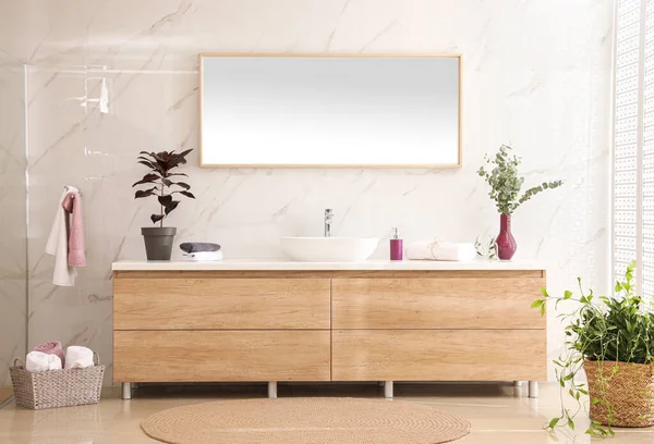 Elegante Bagno Interno Con Piano Lavoro Specchio Piante Idea Progettuale — Foto Stock