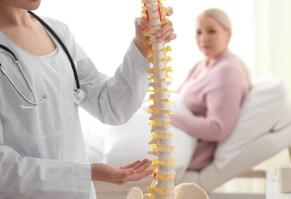 Ortopedista Femenina Explicando Estructura Columna Vertebral Paciente Clínica Primer Plano — Foto de Stock