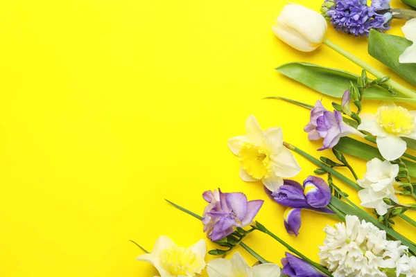 Composição Colocação Plana Com Flores Primavera Fundo Amarelo Espaço Para — Fotografia de Stock