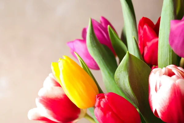 Hermosos Tulipanes Primavera Sobre Fondo Claro Primer Plano —  Fotos de Stock