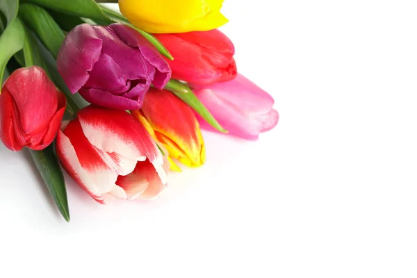 Hermosos Tulipanes Brillantes Primavera Sobre Fondo Blanco Primer Plano —  Fotos de Stock