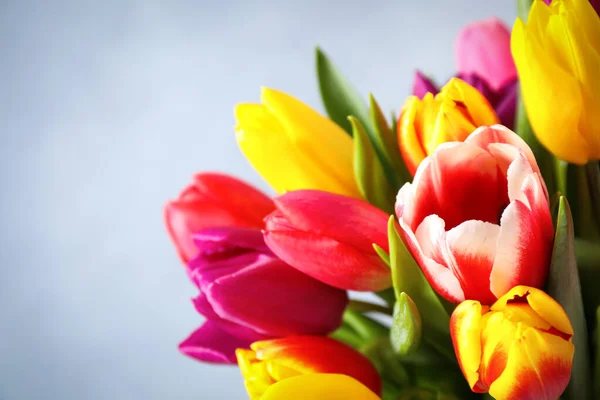 Hermosos Tulipanes Primavera Sobre Fondo Azul Claro Primer Plano —  Fotos de Stock