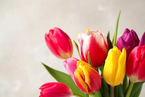 Красивые Весенние Тюльпаны Светлом Фоне Крупным Планом — стоковое фото