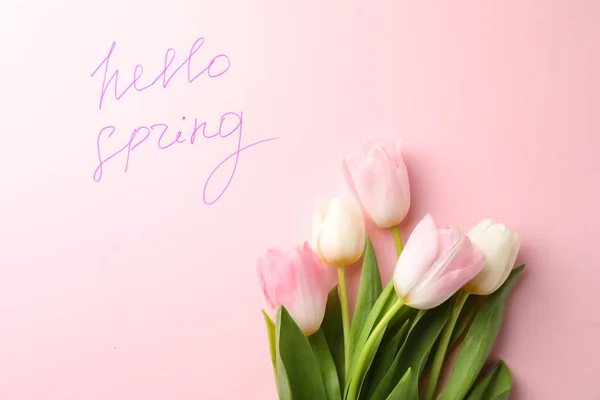 Слова Hello Spring Свежие Цветы Тюльпан Розовом Фоне Плоский Лежал — стоковое фото