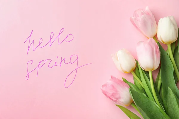 Hello Spring — 스톡 사진