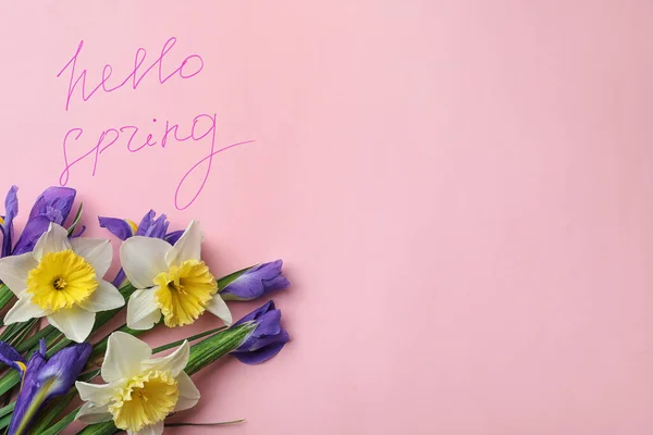 Слова Hello Spring Свежие Цветы Розовом Фоне Плоские Лежат Пространство — стоковое фото