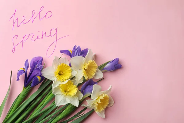 Słowa Hello Spring Świeże Kwiaty Różowym Tle Płaskie Leżał Miejsce — Zdjęcie stockowe