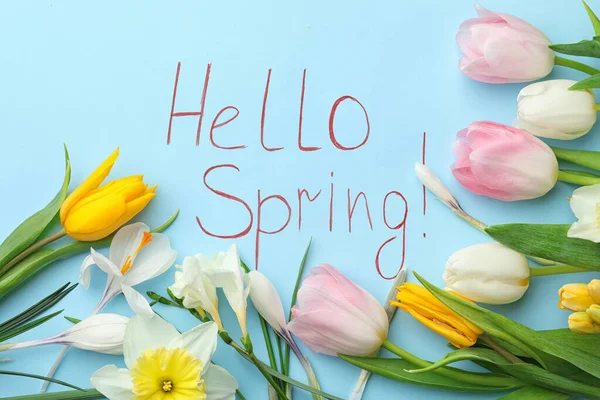 Palabras Hello Spring Flores Frescas Sobre Fondo Azul Claro Planas — Foto de Stock