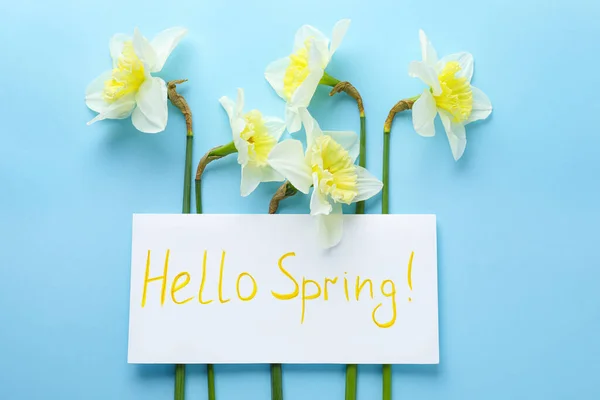 Tarjeta Con Palabras Hello Spring Narciso Flores Sobre Fondo Azul — Foto de Stock