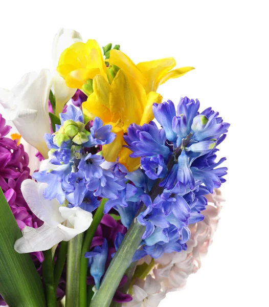 Bouquet Bellissimi Fiori Primaverili Sfondo Bianco — Foto Stock