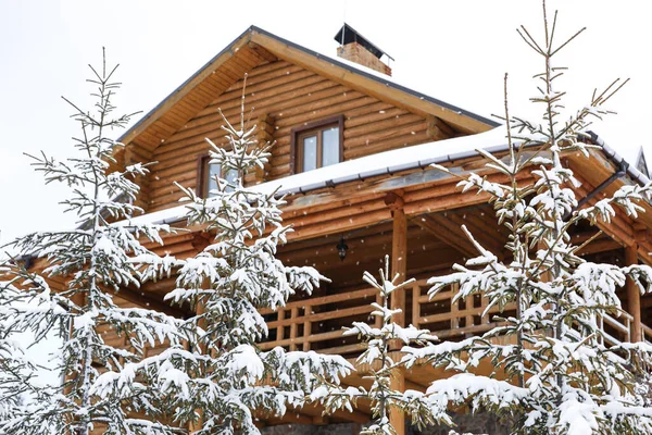 Árboles Abeto Nevado Cerca Casa Madera Vacaciones Invierno —  Fotos de Stock