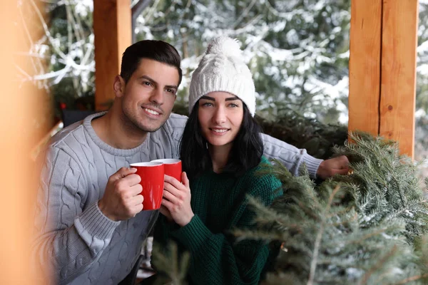 Happy Couple Cafe Snowy Forest Winter Vacation — Stock Photo, Image