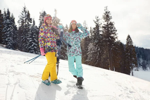 Amis Avec Matériel Sur Une Colline Enneigée Vacances Hiver — Photo