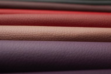 Arka plan olarak farklı deri örnekleri, yakın görünüm