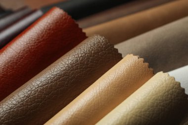 Arka plan olarak farklı deri örnekleri, yakın görünüm