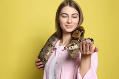 Sarı arka planda boa yılanı olan genç bir kadın, eline odaklan. Egzotik hayvan