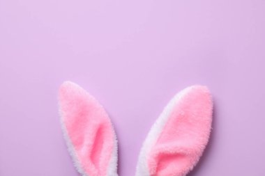 Mor arka planda Paskalya tavşanı kulakları, üst manzara. Metin için boşluk