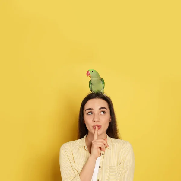 Young Woman Alexandrine Parakeet Yellow Background Cute Pet — Stock Photo, Image